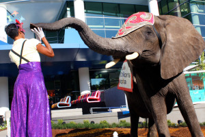The elephant really made the opening of a children’s hospital unforgettable.