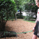 Our Interns Don’t Fetch Coffee, But They Might Walk a Pig