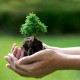 Top 5 Ways to “Green” Your Corporate Event